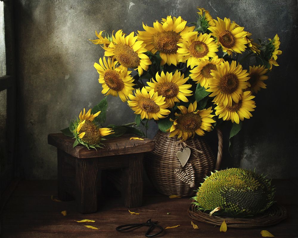 Фотография автора Svetlana Inyusheva