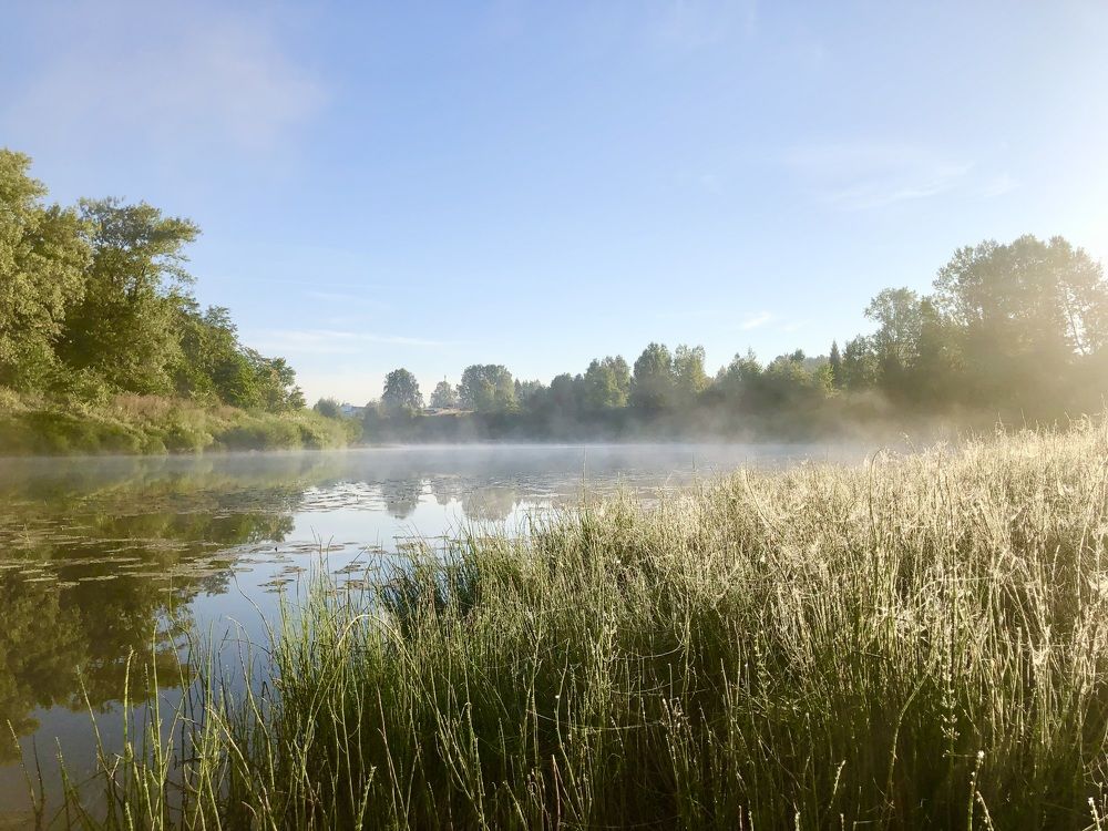 Photograph by Ирина Селиверстова