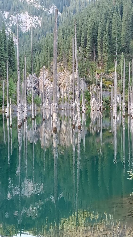 Photo #10319730