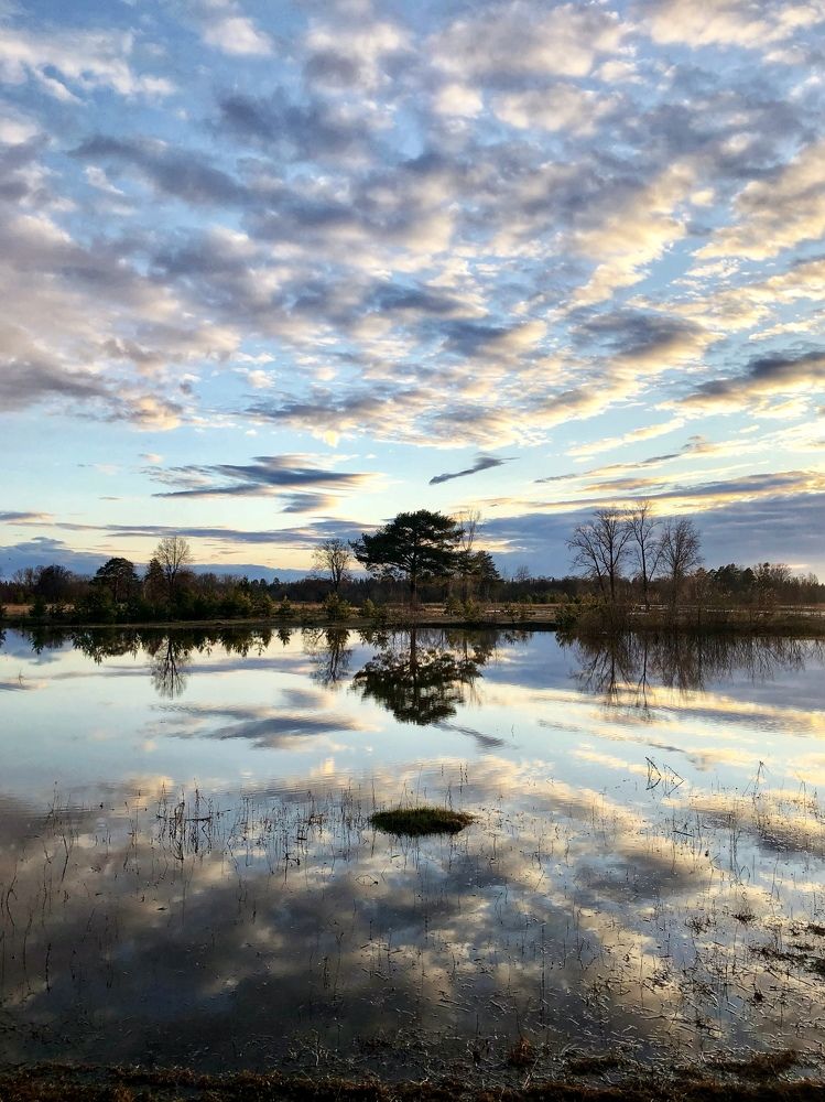 Photograph by Ирина Селиверстова