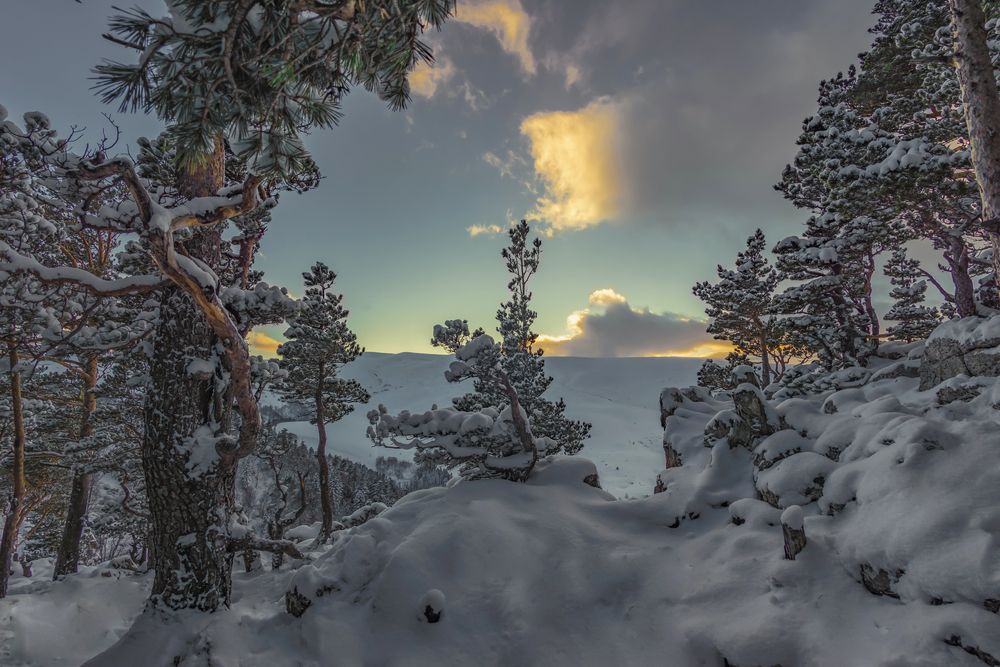 Photograph by Anatoly