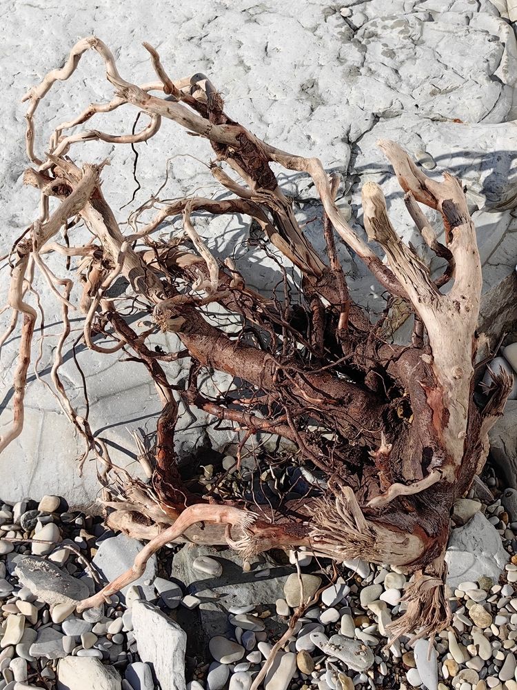 Фотография автора Юлия Лубкина