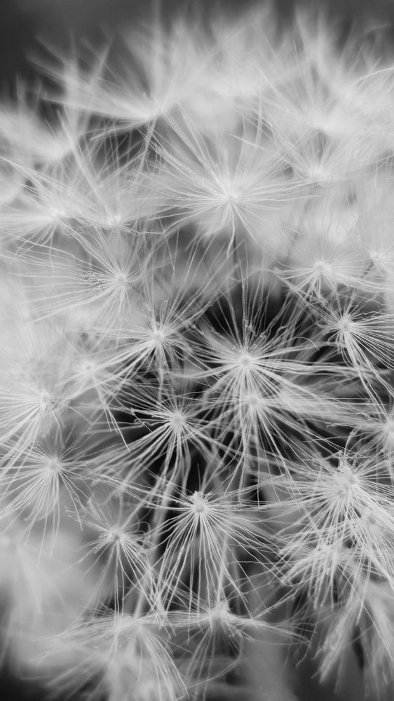 Фотография автора Елена Маслова