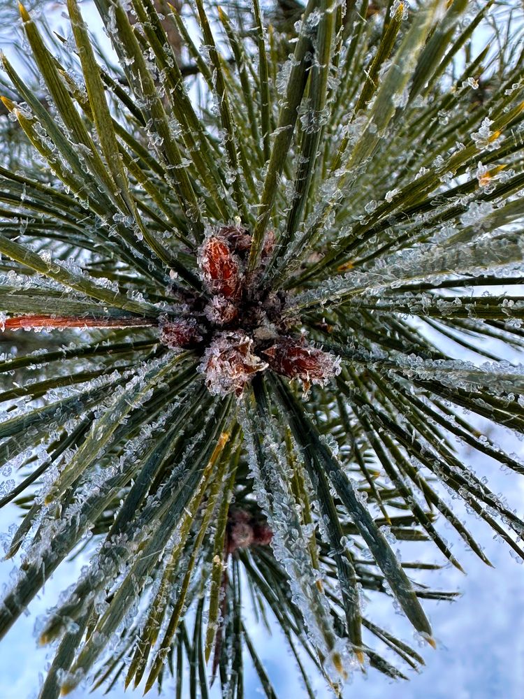 Photograph by Татьяна Гривицкая