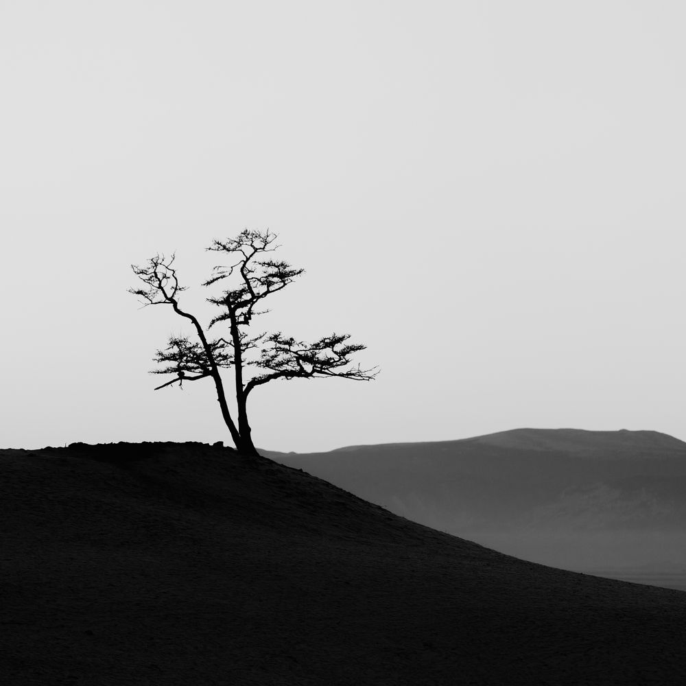 Photograph by Антон Шваин