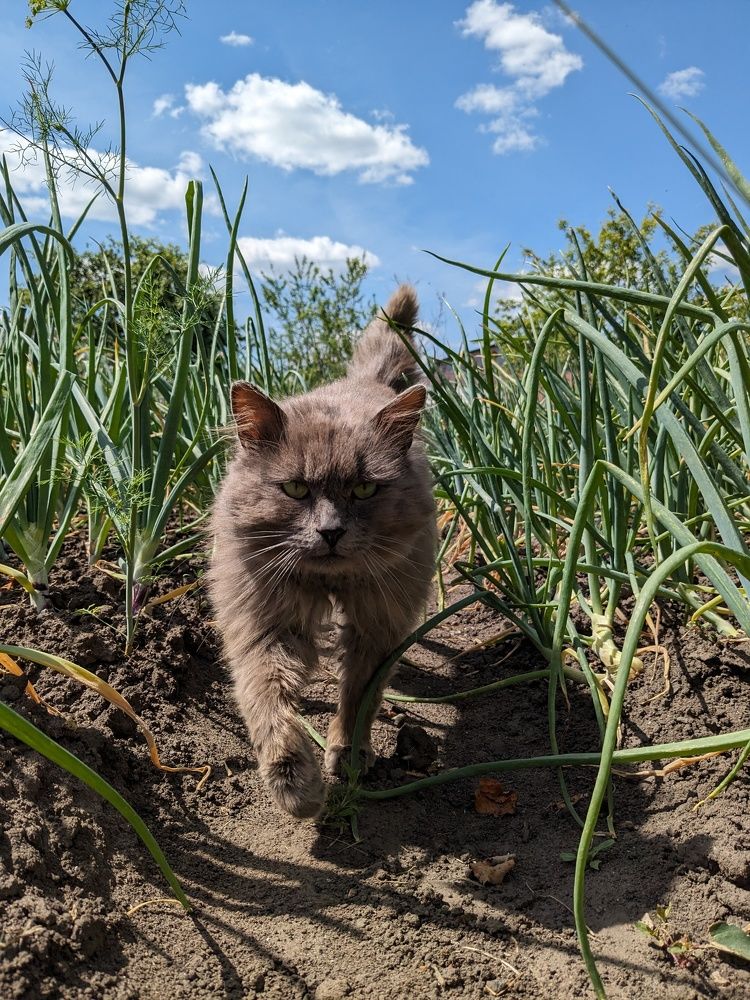 Photograph by Алексей Никифоров