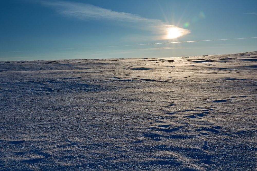 Холодное безмолвие