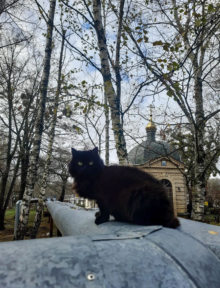 Photograph by Татьяна Кива