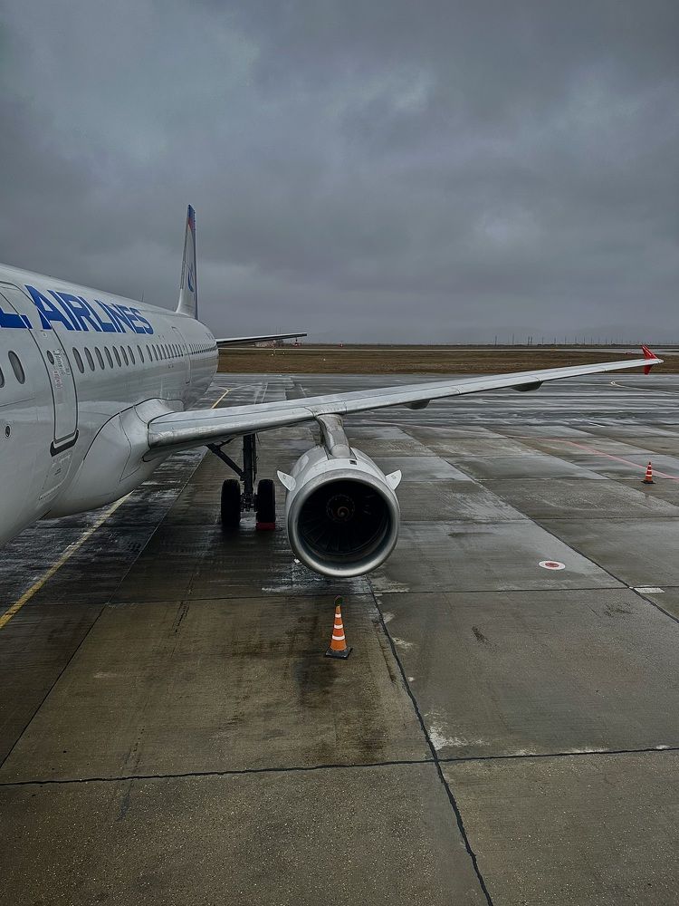 Фотография автора Юлия Косинова