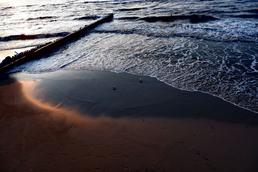 Photograph by Mariya