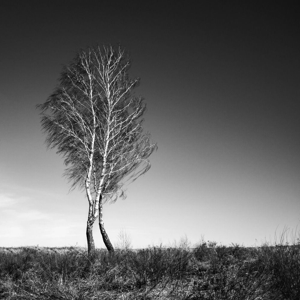 Photograph by Александр Соколов