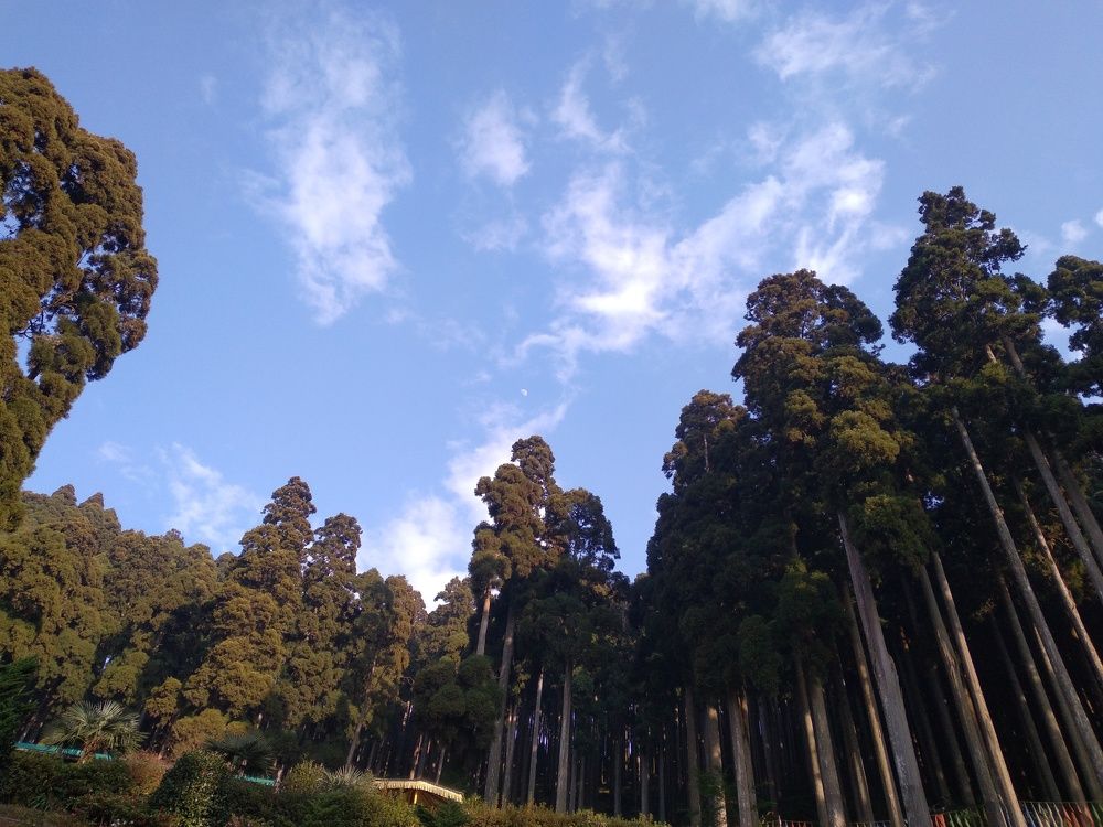 Photo #10320212