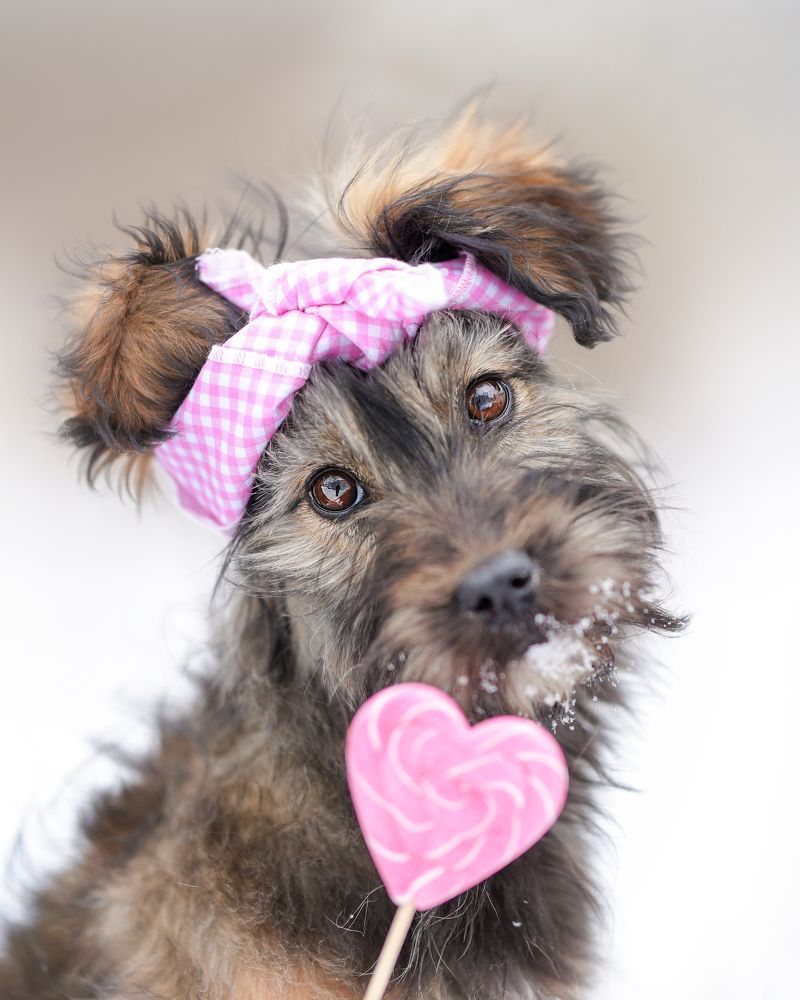 Photograph by Ирина Андреева