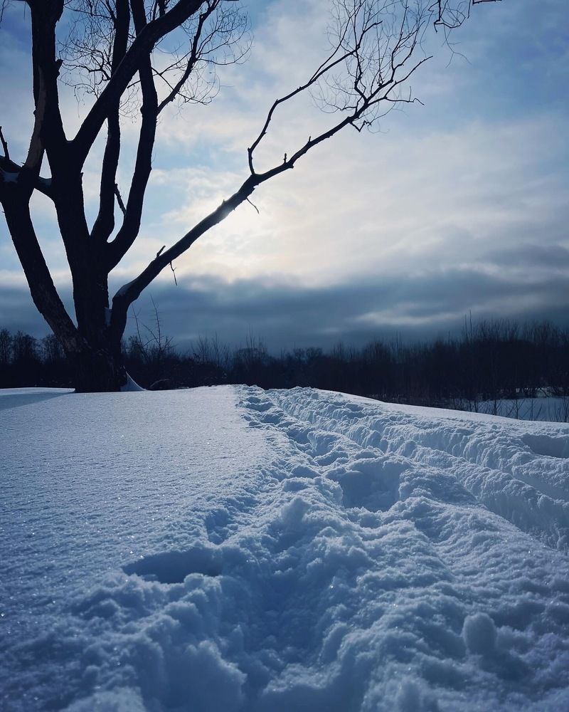 Photograph by Мария Халуторных