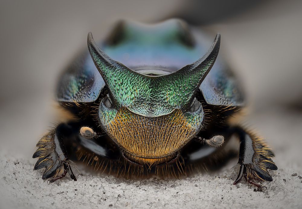 Photograph by Eugenijus Kavaliauskas