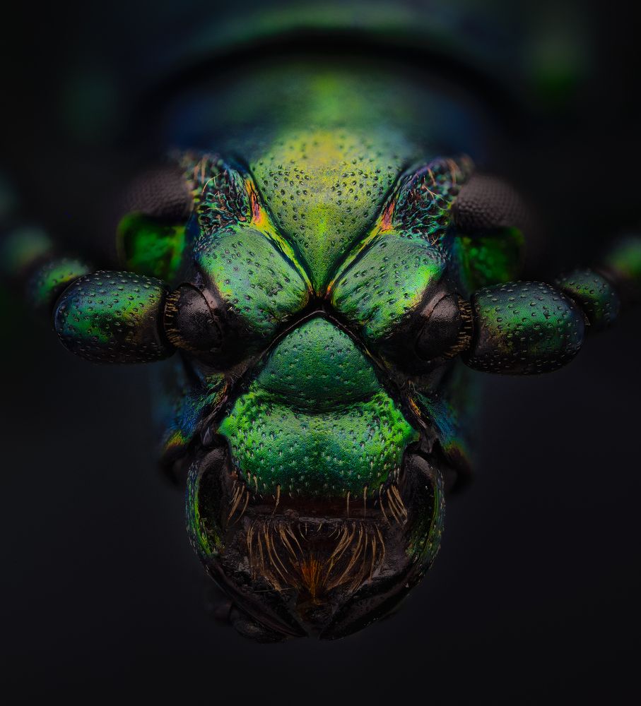 Photograph by Eugenijus Kavaliauskas