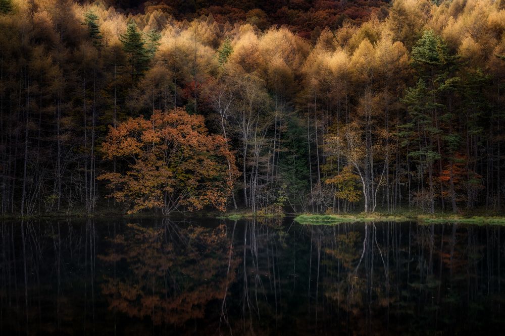 Photograph by Hayashi Masaki