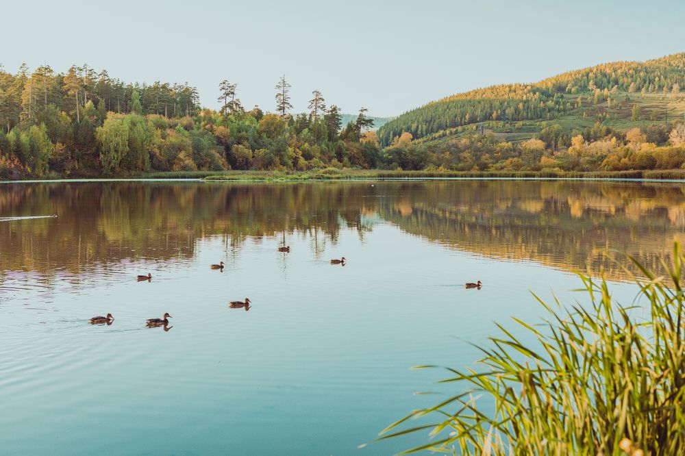 Photograph by Денис Хабибуллин