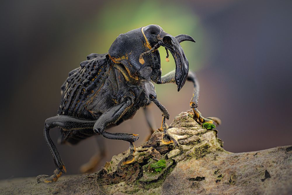 Photograph by Eugenijus Kavaliauskas