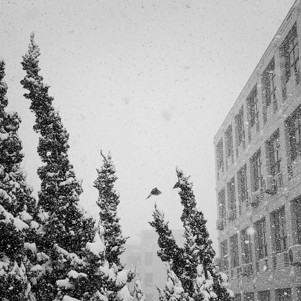 Одним зимним днём