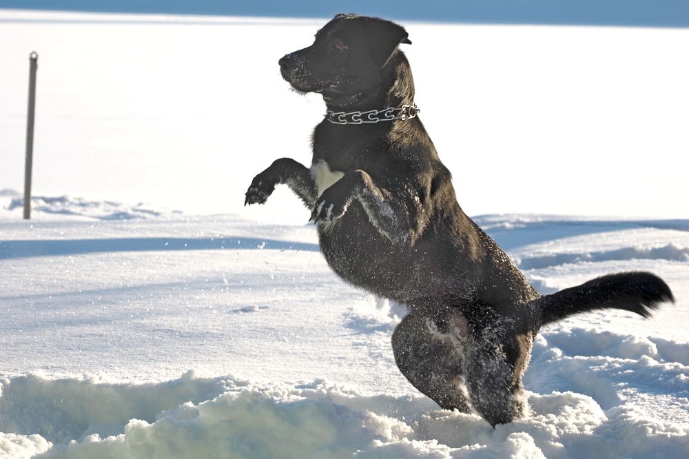 Photograph by николай зайцев