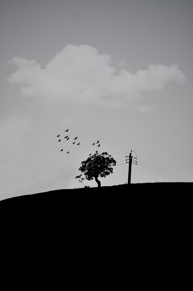 Photograph by Omid Mansourbeygi