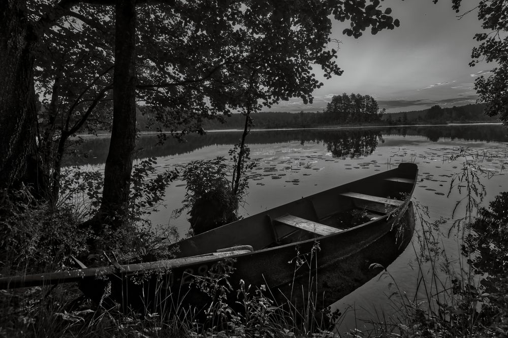 Photograph by Janis Serdienis