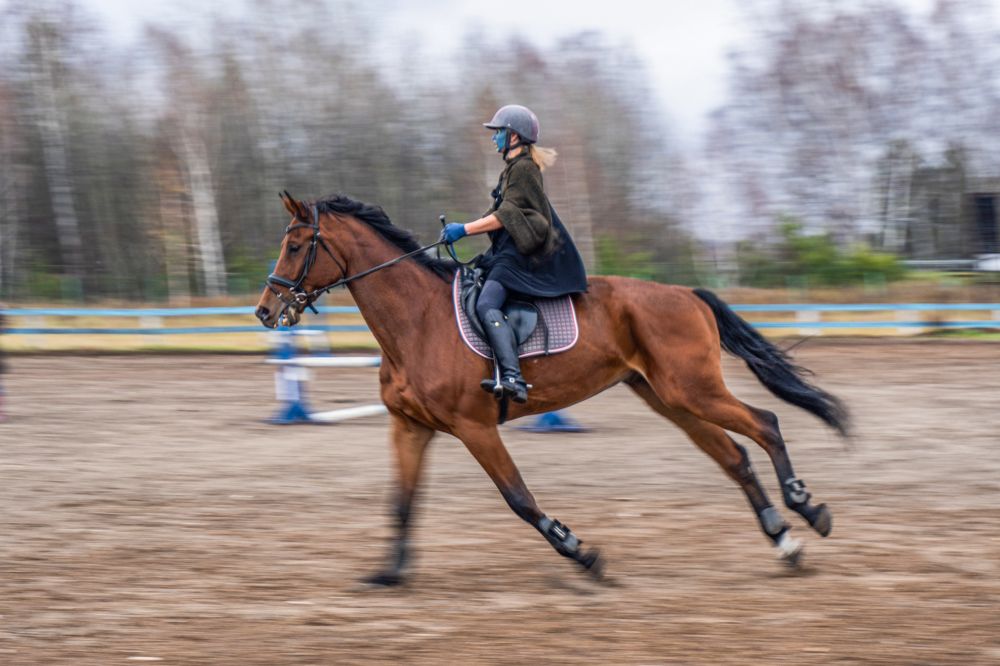 Photograph by Екатерина Шерабурко