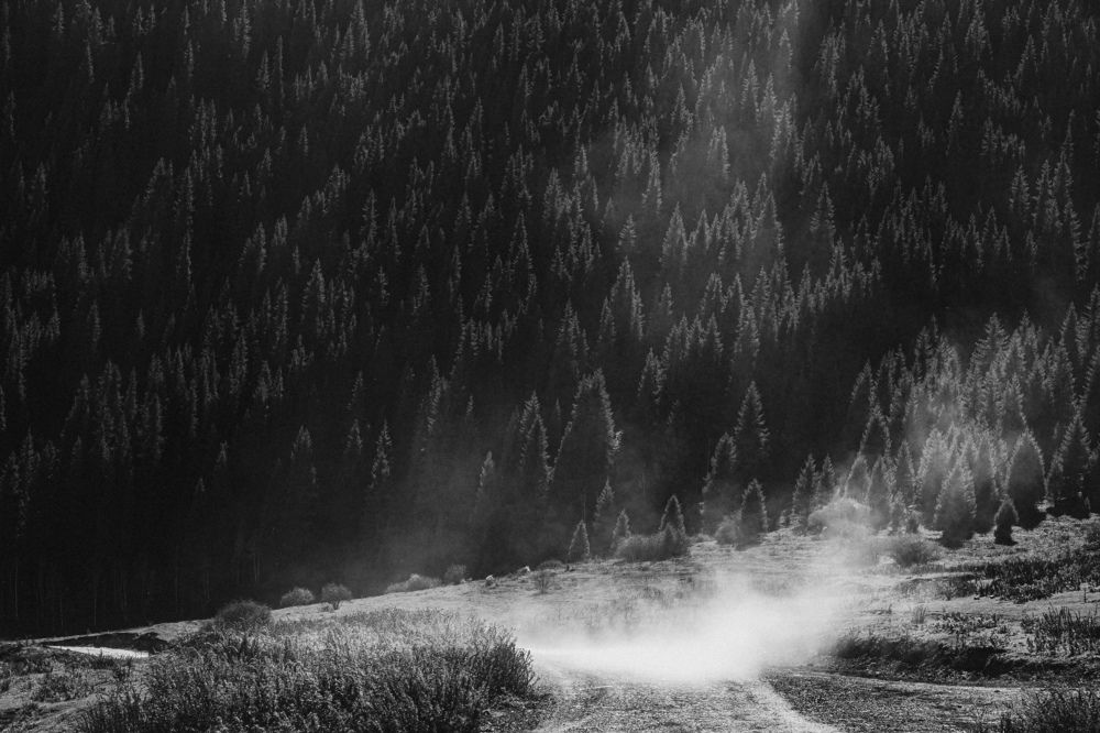 Photograph by Юлия Мальнева