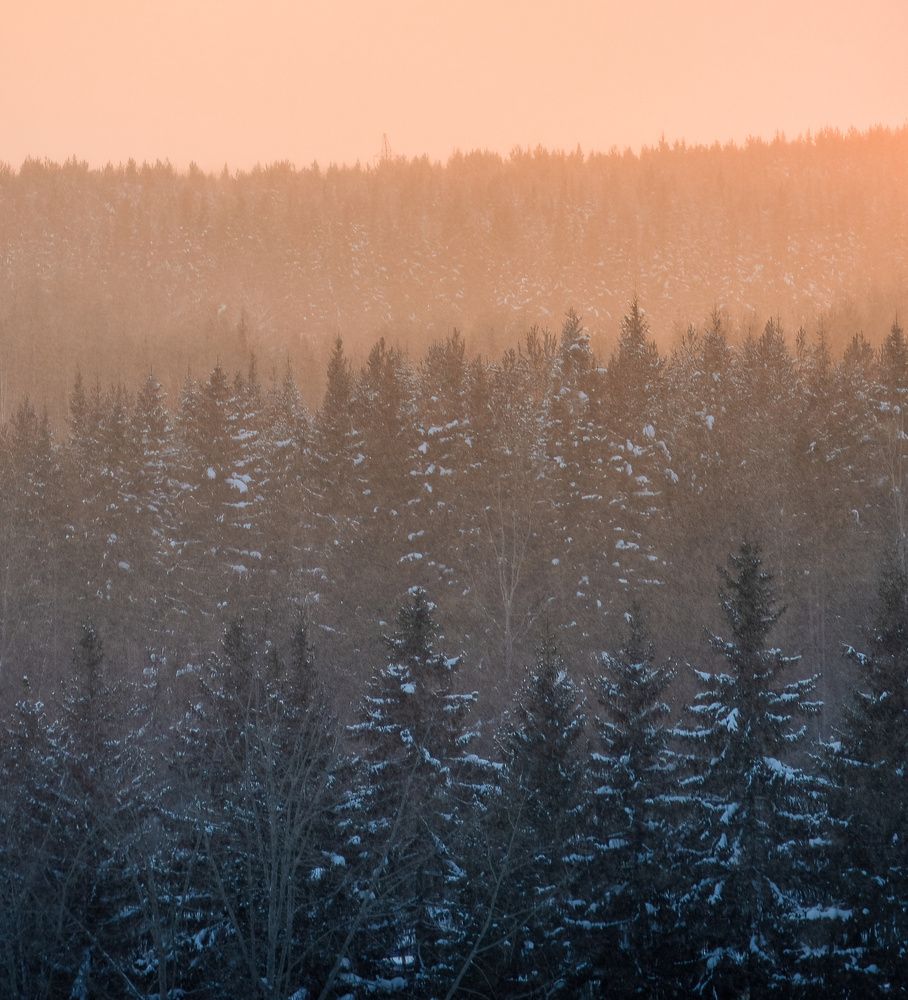 Photograph by Mysov Ivan