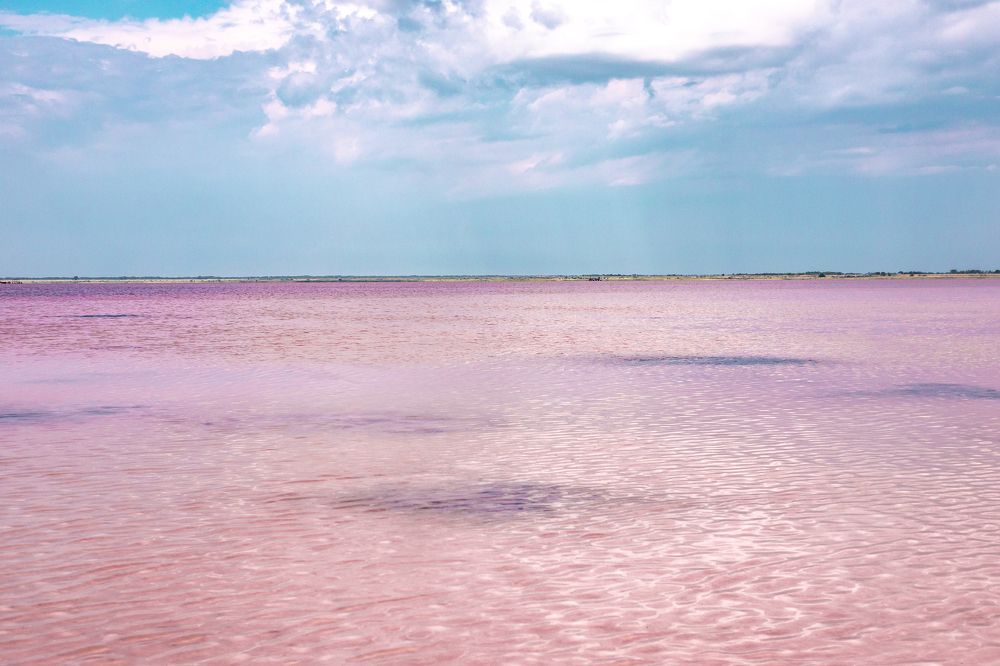 Photograph by Екатерина Шерабурко