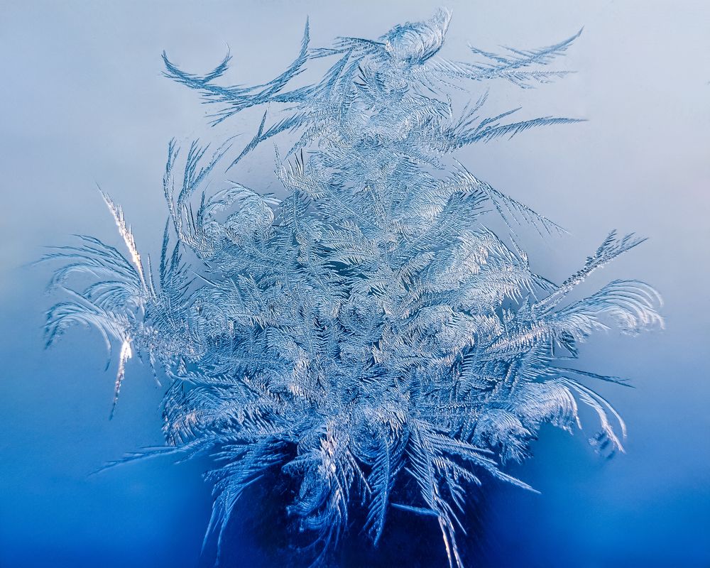 Photograph by Наталья Максимова