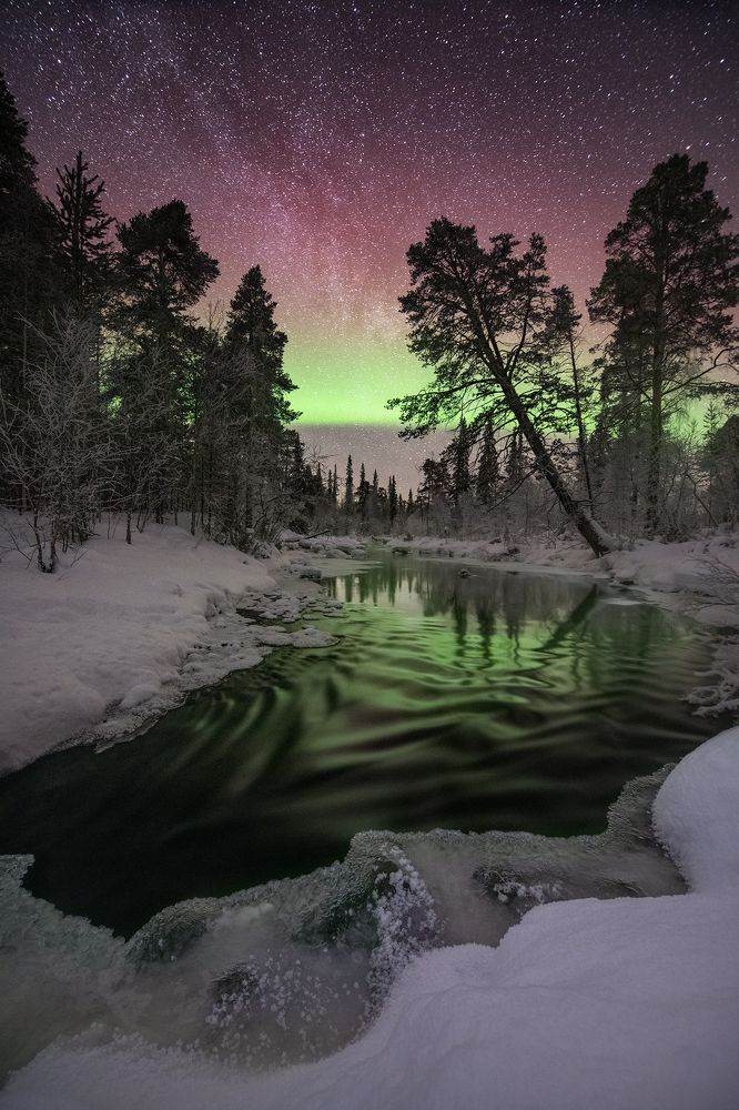 Photograph by Елена Ермолина