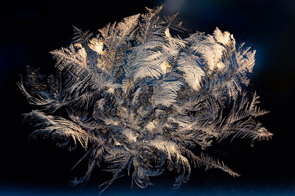 Photograph by Наталья Максимова