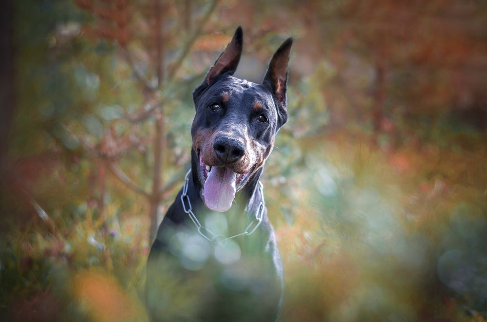 Photograph by Екатерина Лебедева