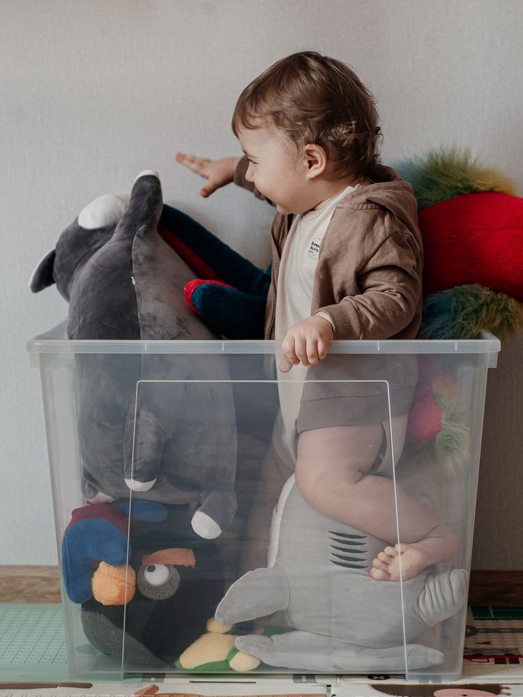 Photograph by Sasha Alisun