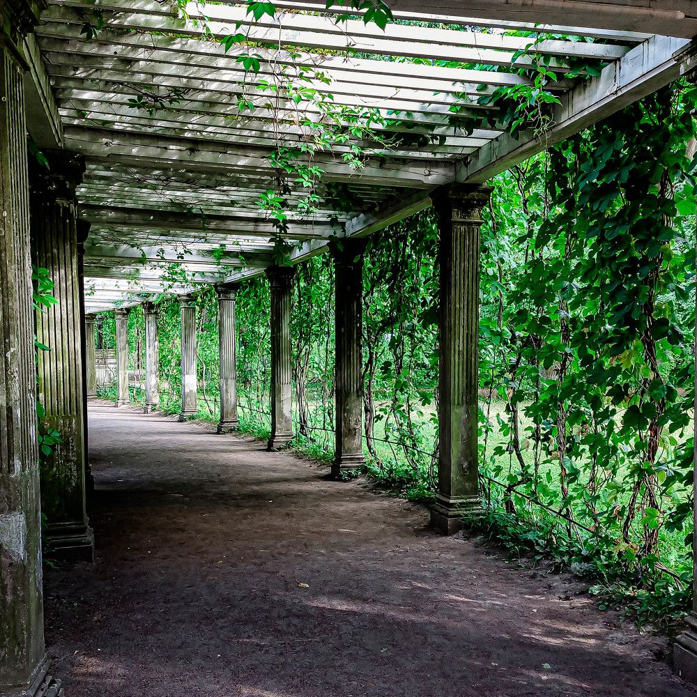 Photograph by Алексей Ларин