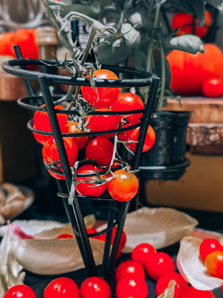 Photograph by Irina Kolotova