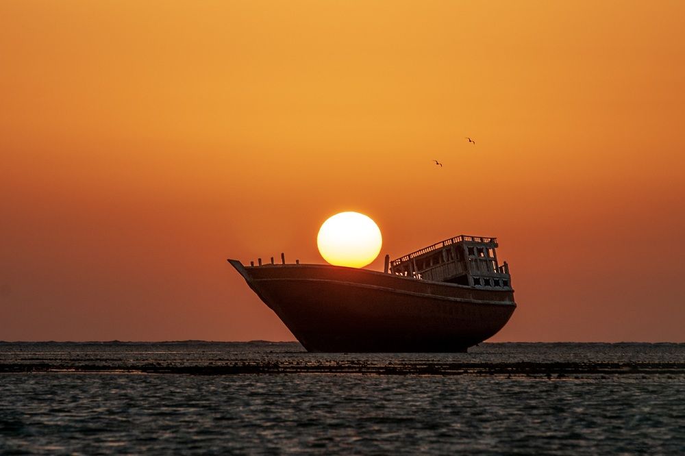 Photograph by Mojgan Sheykhi