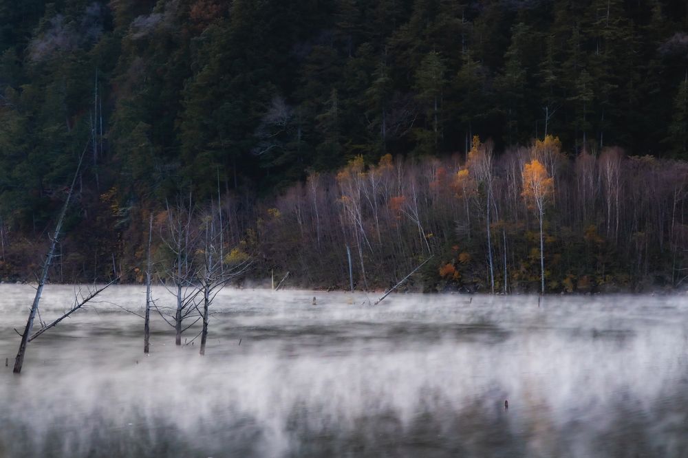 Photograph by Hayashi Masaki