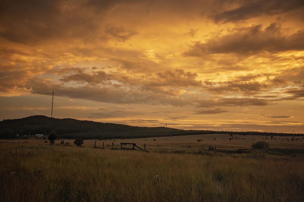 Photograph by Олеся