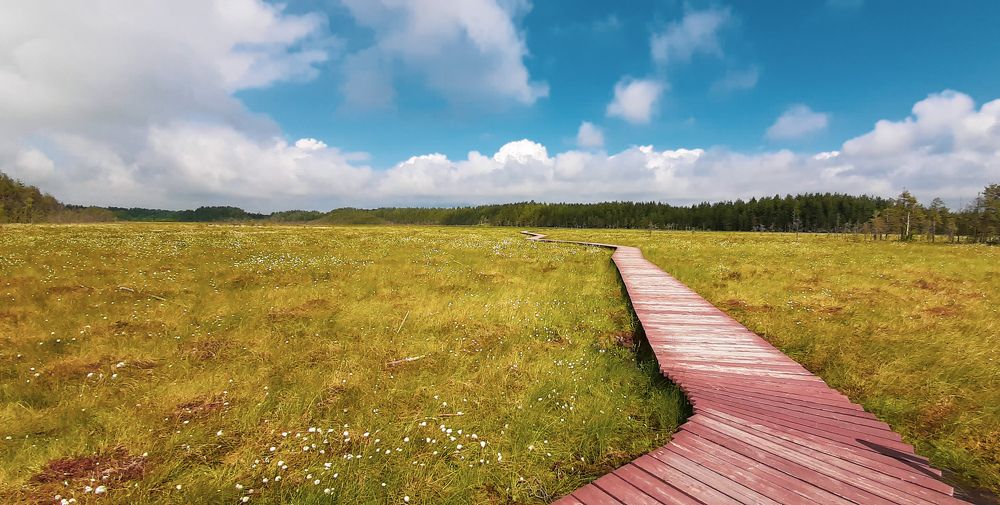 Фотография автора Валерия