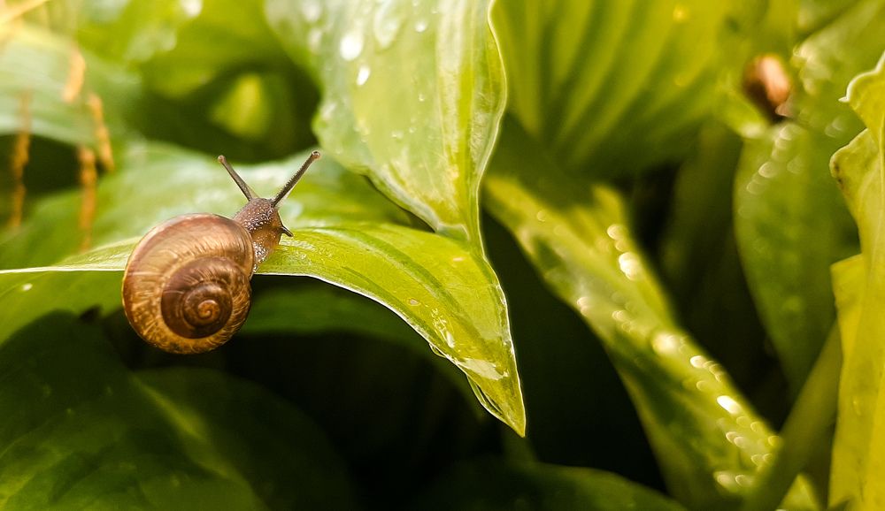 Фотография автора Валерия