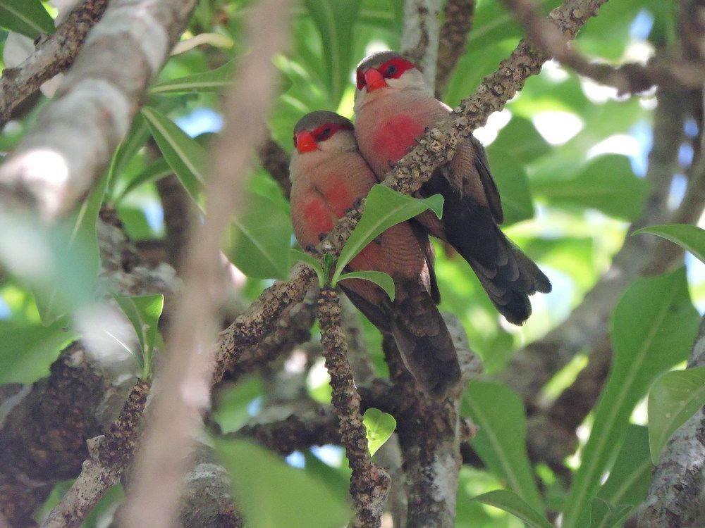 Photograph by Rodrigues Helena