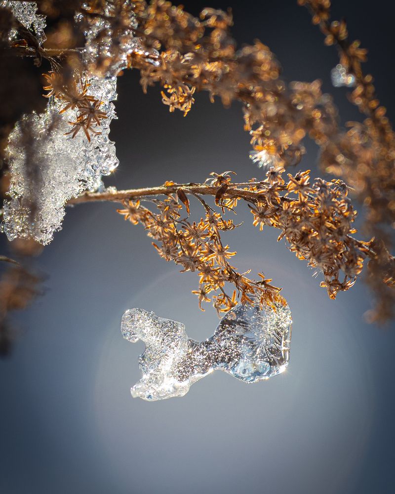 Фотография автора Артур Богородицкий