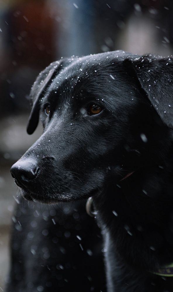 Photograph by Алина Плотникова