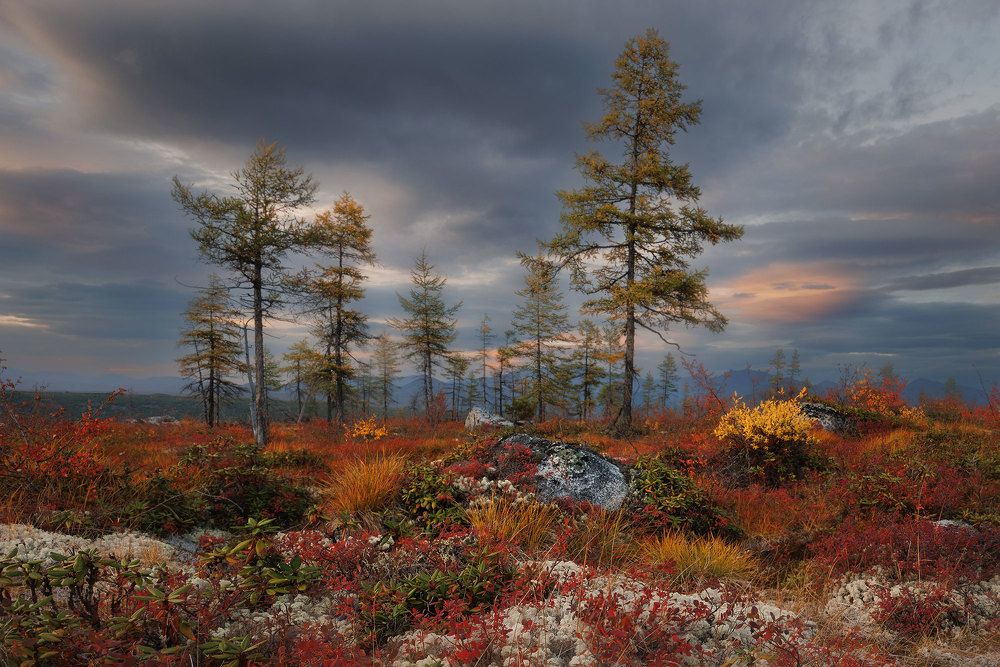 Photograph by Морозов Сергей