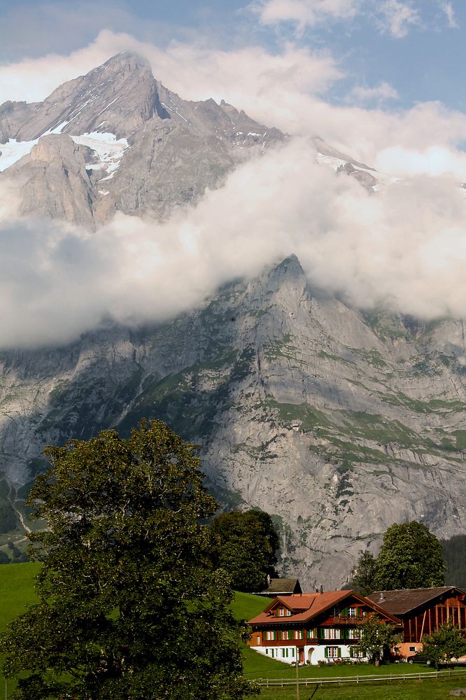 Photograph by Диана Ульянцева