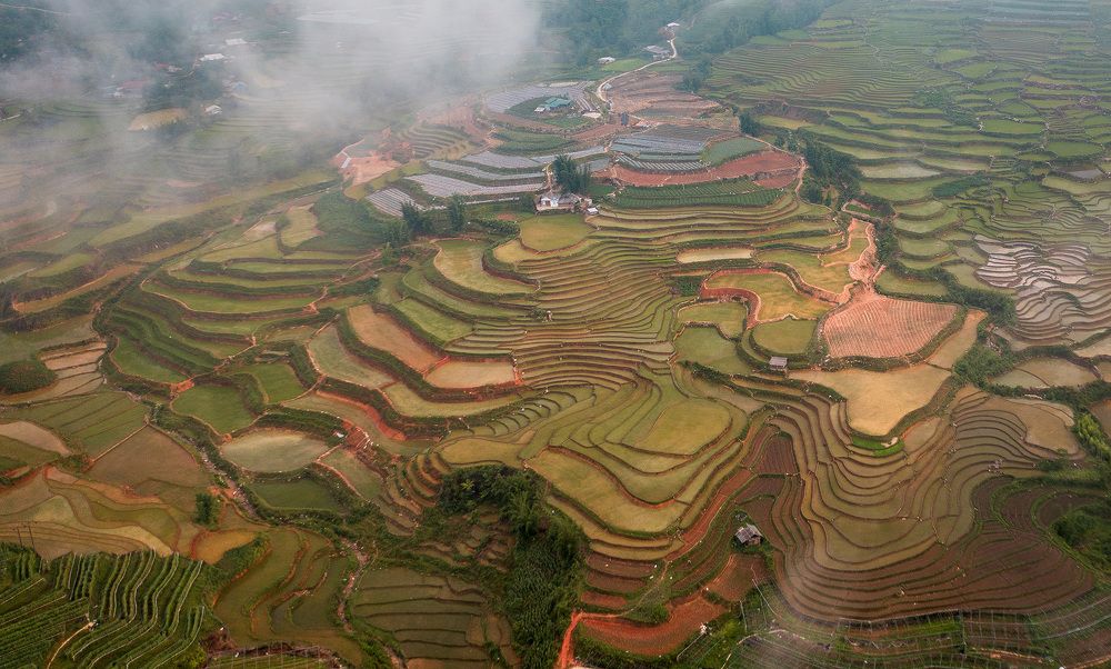 Photograph by Hanh P. T. Pham