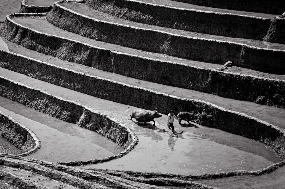 Photograph by Hanh P. T. Pham